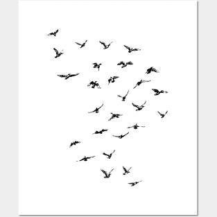 Flock of Birds in the Sky Posters and Art